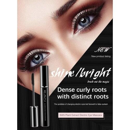 3D Mascara Lengthening Black Lash Eyelash Extension Thick Curling Eye Lashes Brush Beauty Eye Makeup Longlasting Mascara TSLM2