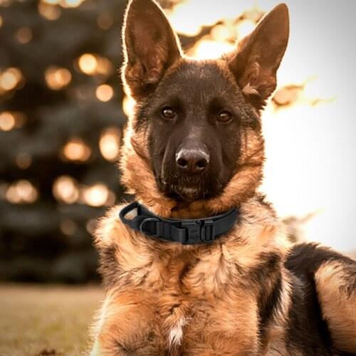 Military Tactical Dog Collar German Shepard Medium Large Dog Collars For Walking Training Durable Dog Collar Control Handle