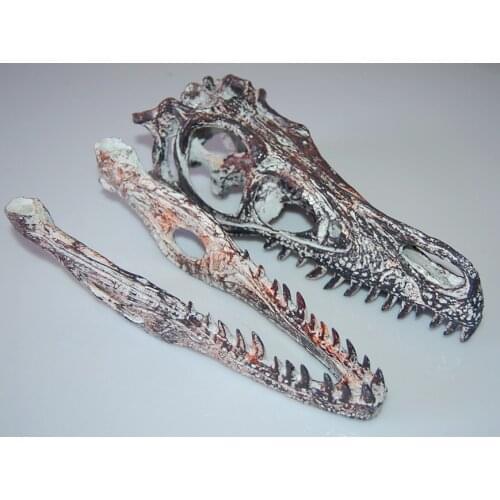 Resin VelociRaptor Skull Replica Head Model Figurine Home Bar Tabletop Decor