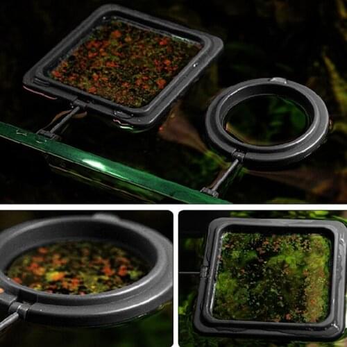 2 Pcs Aquarium Fish Feeding Ring Fish Tank Floating Food Feeders Suction Cup