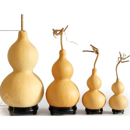 Multi Size Natural Dried Gourds Craft Calabash Gourd Plant Gourd/Dried Lagenaria siceraria