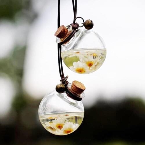 Clear Perfume Fragrance Air Freshener Empty Bottle Car Home Hanging Ornament Car Diffuser Hanging Aromatherapy Bottle for Rear V