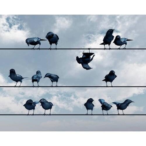 DIY Painting By Numbers Animal Kit Oil Picture By Numbers Birds on the wire Wall Art Painting on Canvas Home Decoration Gift