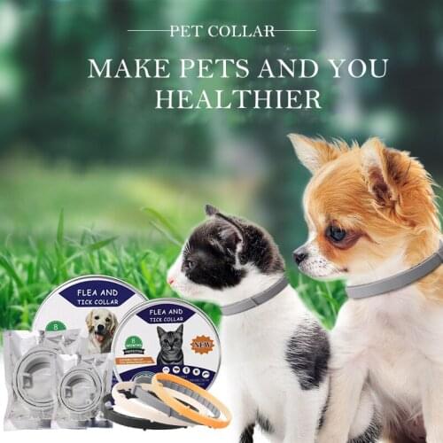 Random Pet Dog Cat Collar Anti Flea Ticks Mosquitoes Outdoor Adjustable Pet Collar cat Accessories 8 Months Long-term Protection
