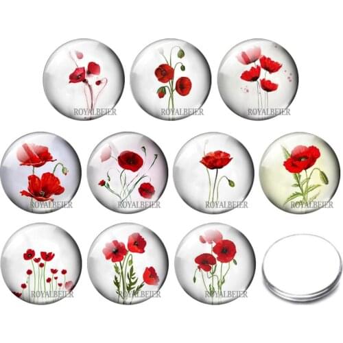 Fashion Lovely Cartoon Flower beauty 10pcs 12mm/18mm Round Photo Glass Cabochon Demo Flat Back Making Finding