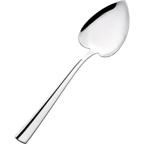 Can Servis Spoon
