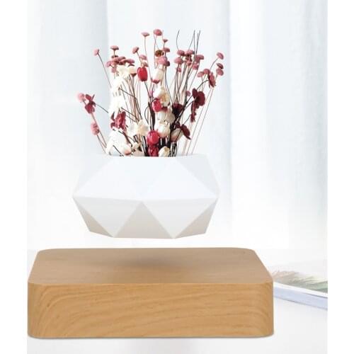 Magnetic suspension flower pot Levitating Air Bonsai Pot plant pot succulent pot patio decoration Desktop Flower/Green Plant