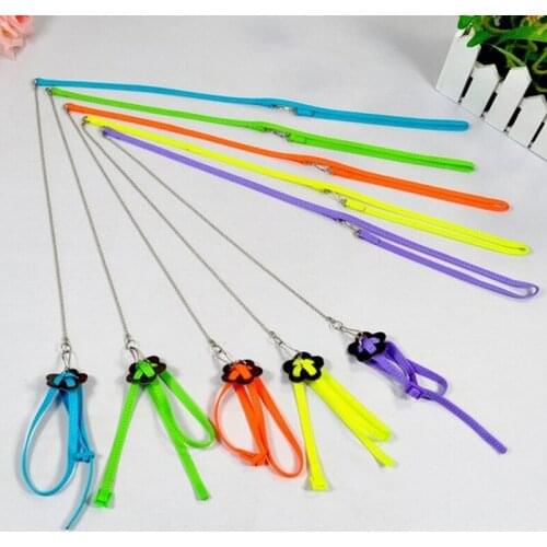 Adjustable Parrot/Bird Animal Harness Multicolor Leash Rope Anti-bite Train accessories