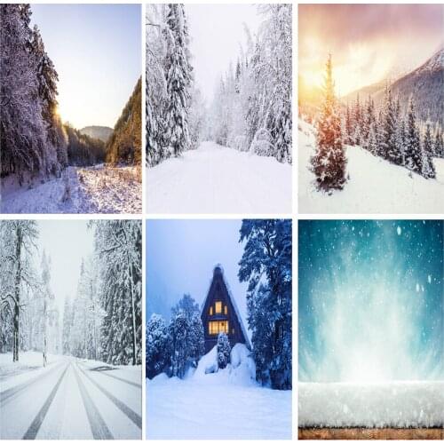 SHENGYONGBAO Art Fabric Photography Backdrops Prop Snow scene Photography Background 2021112XJ-03
