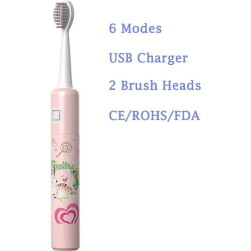 Adult Acoustic Wave Electric Toothbrush USB Rechargeable Battery Sonic Tooth brush With Replacement Heads