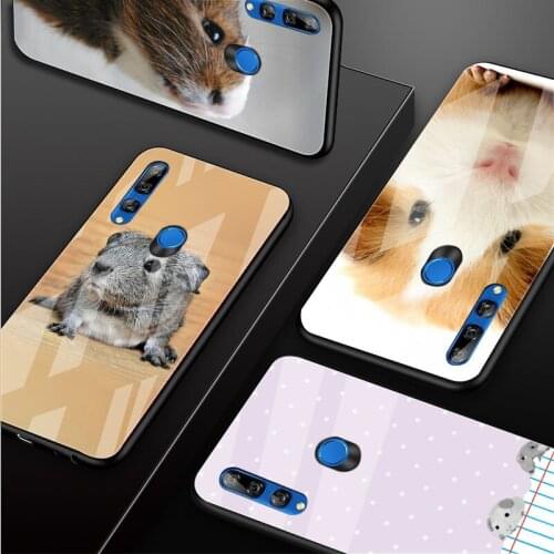 Guinea Pigs Tempered Glass Phone Case For Huawei honor 8X 9 10i 20i 20Lite 20Pro 30 Pro Cover Shell