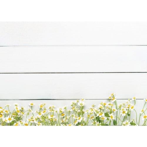 Vinyl Photographic Backgrounds for Photo Studio White Wooden Plank Flowers Children Baby Portrait Backdrops Photocall Photobooth