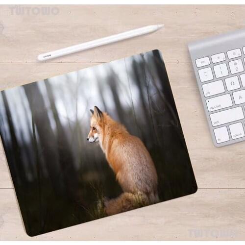 Small Mouse-pad Cute Animal Fox Mats Nature Rectangular Mouse Pad Laptop Computer Desk Mats Computer Accessories