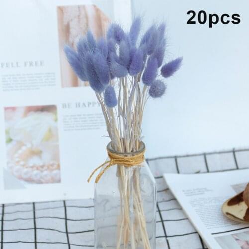20Pcs Rabbit Tail Grass Natural Dried Flowers For Home Decoration Flower Arrangement Long Bunches Bouquet Props GRSA889