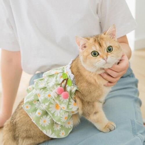 Cute Pet Skirt Cherry Decoration Comfortable Breathable Pet Cats Pleated Dress for Summer Cat Kitten Clothes Accessories