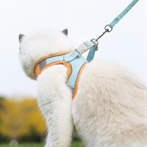 Cat Traction Rope Dog Pet Puppy Cat Adjustable Harness Leash Toys Anti-Break Leash Chain Collars Interactive Toy