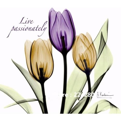 Needlework,For embroidery,DIY Aida Tulip flowers grace 14CT Canvas Cross stitch kits,Art Pattern counted Cross-Stitching decor