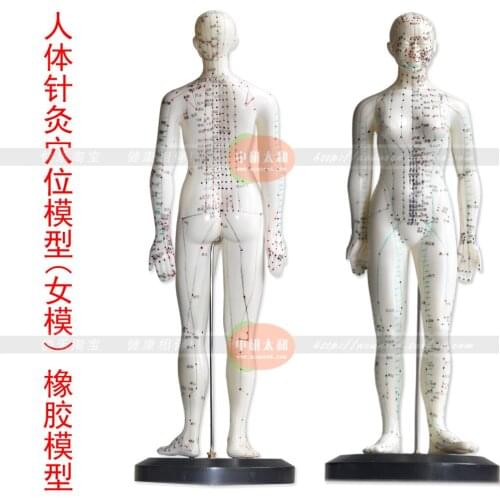 Human body acupuncture point model (female model) 48cm plastic model