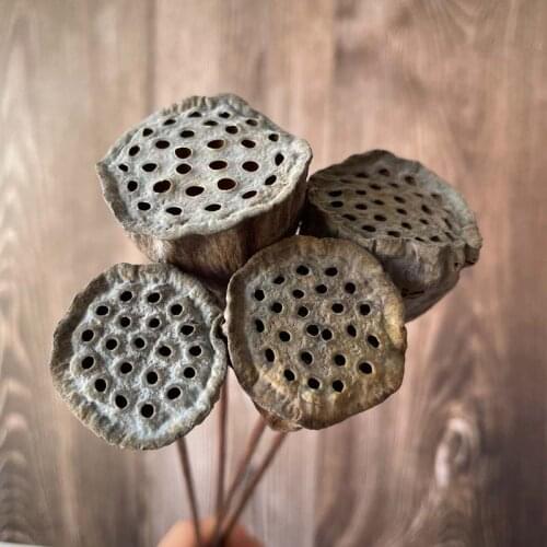3~4CM Head/6PCS,40CM Natural Dried Lotus Seedpod with Artificial Wire Pole,Small Lotus Seed Pod Flower Bouquet For Home Decor