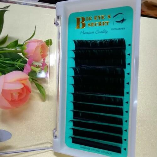 One tray 12 lines Premium Silk Eyelash Extensions Individual False Mink Lashes C/D Curl Professional Makeup Tools