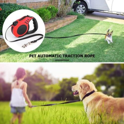 3m 5m Puppy Leash Automatic Retractable Nylon Cat Lead Extension Belt Puppy Walking Running Lead Roulette for Dogs