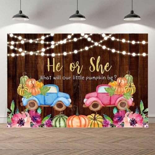 NeoBack Boy or Girl Gender Reveal Backdrop Pink Blue Photography Background Vinyl Wood Floor New Born Baby Birthday Party Banner