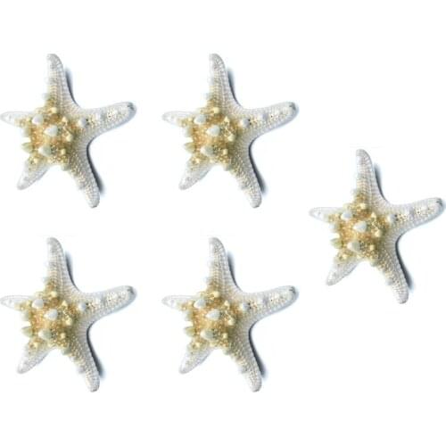 5pcs/lots crafts white bread sea shell starfish, fashion home decorative handicrafts