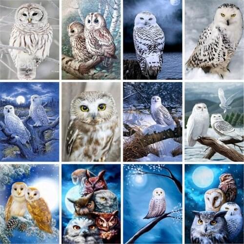 GATYZTORY 60x75cm DIY Painting By Numbers Animals Owl For Home Decor Digital Painting On Canvas For Unique Gift