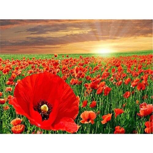 Poppy Flower DIY Embroidery Cross Stitch 11CT Kits Craft Needlework Set Cotton Thread Printed Canvas Home Dropshipping