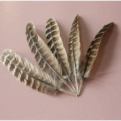 Wholesale 1000 pcs pretty 10-15cm/4-6inch high quality natural pheasant feathers DIY decorative new