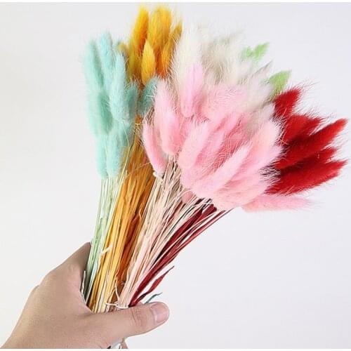 Dekoration Home Decoration Rabbit Tail Grass Pampas Dried Flowers Bouquet Wheat Ear Bulrush Wedding Flores Secas Naturales