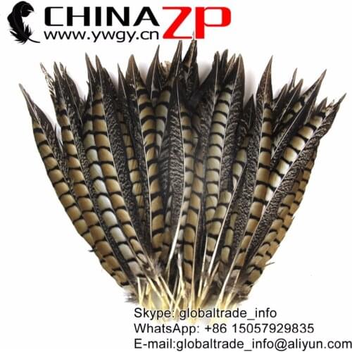 CHINAZP Feathers Wholesale 30 to 35cm High Quality Real Natural Lady Amherst Pheasant Feathers for Carnvial Hats Accessories