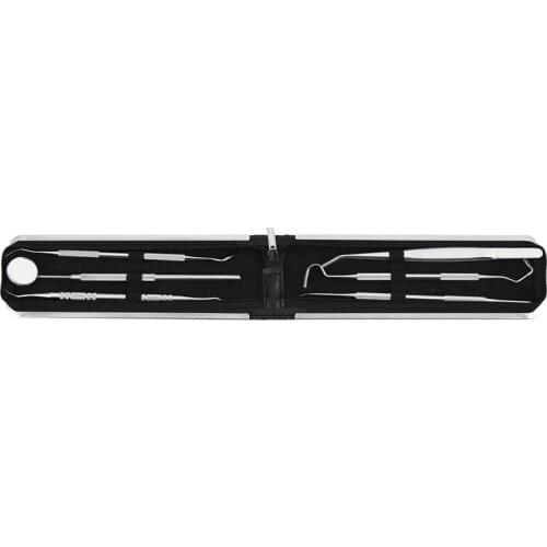 Hygiene Kit 6 Pcs tools Essential Calculus & Plaque Remover Set Dentist Prepared Tools Kit for Deep Teeth Cleaning