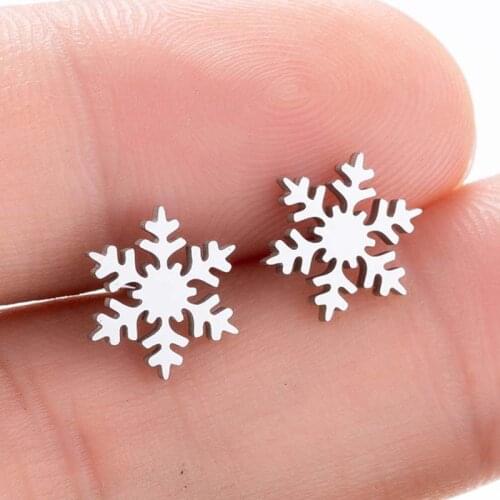 Korean Earrings Fashion Jewelry Simple Stainless Steel Earrings Statement Earrings Snowflake Stud Earrings For Women Wholesale