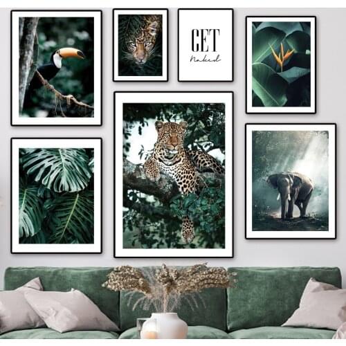 Jungle Wild Leopard Elephant Tropical Bird Wall Art Canvas Painting Nordic Poster And Prints Wall Pictures For Living Room Decor