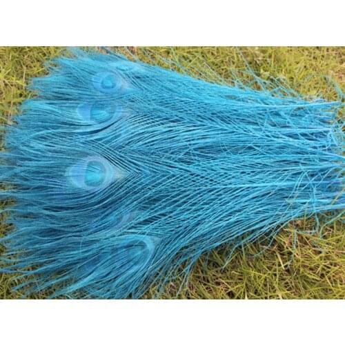 Wholesale 50 PCS beautiful sky blue 25-30 cm/10-12 inches high quantity peacock feathers all sorts of adornment