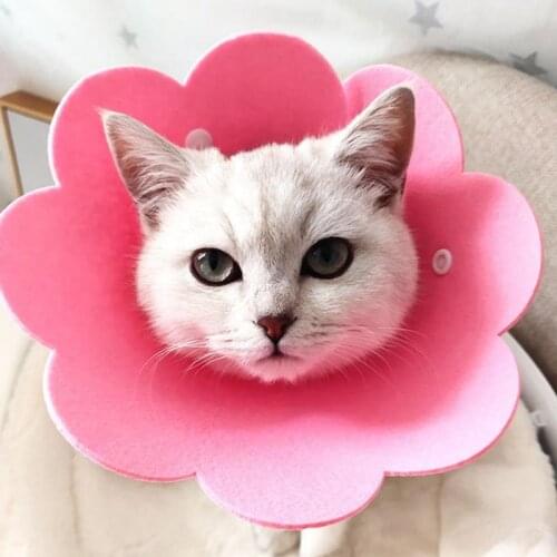 2PCS Flower Shape Cat Recovery Collar Pet Cone Recovery Collar For Anti-Bite Lick Surgery Wound Healing Protective Cats Collar