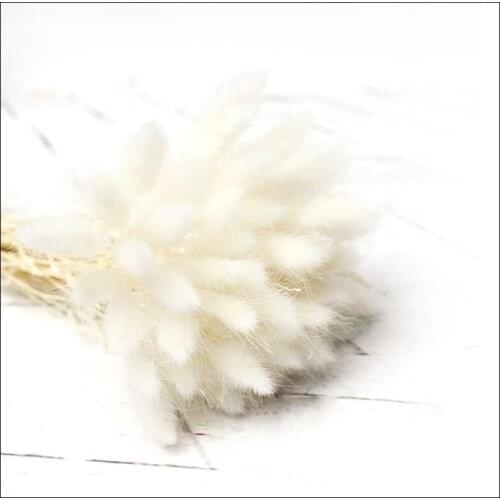 60Pcs Natural Dried Flowers Rabbit Tail Grass Bunch Colorful Flower Decoration Home Boho Party Decoration Wedding Bouquet