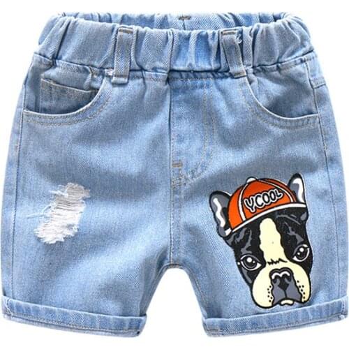 Dangdangshu Denim Shorts For Boys
