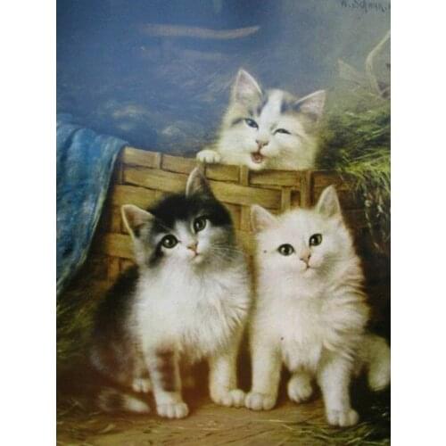 Full square / round drill diamond painting cute cat 3d diamond embroidery animal rhinestone mosaic artwork home decor