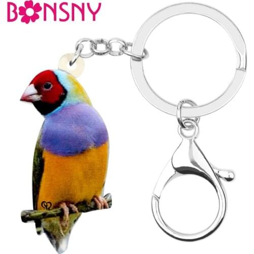 Bonsny Statement Acrylic Cute Lorikeet Parrot Key Chain Key Rings Fashion Jewelry For Women Girls Teens Charms Gift Decoration