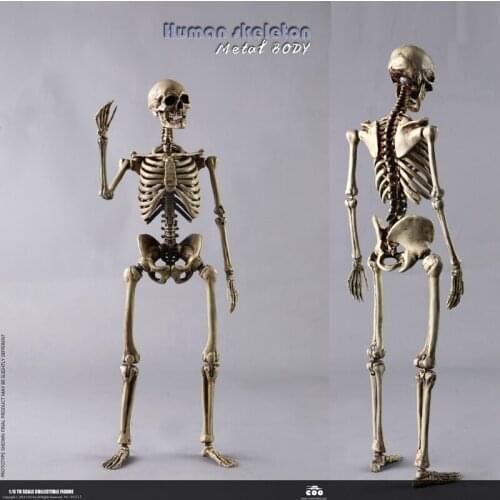 COOMODEL BS011 1/6 Skeleton Highly Movable Body Full Metal Alloy Material Spot Toy