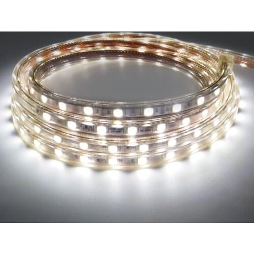 RGB 220V SMD 5050 led strip flexible light 1M 3M 5m 10m 15m warm white/white Bule Red Power plug 60leds/m waterproof led Strips