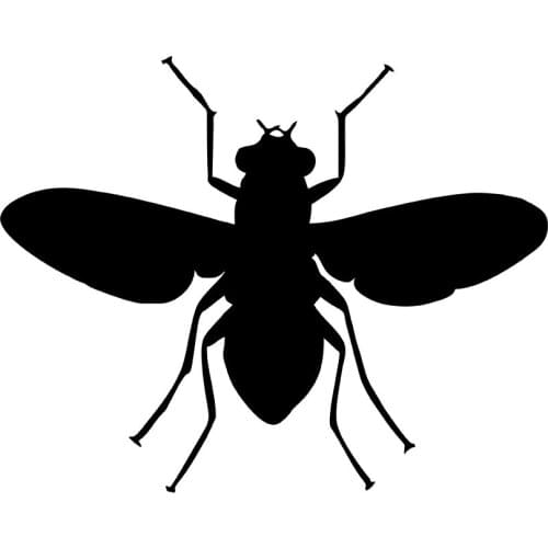 MIGNATIS - Wings Open Queen Bee Sticker Paste Mural Art Decal For Car Window Loptop Decoration Vinyl Stickers Waterproof Self name