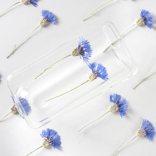 60pcs Pressed Dried Blue Cornflowers Flower With Stalk Plants Herbarium For Epoxy Resin Jewelry Making Makeup Nail Art Craft DIY