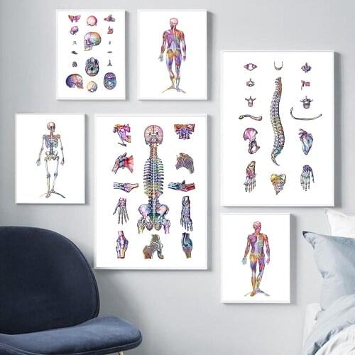 Human Anatomy Muscles System Art Poster Print Body Map Canvas Wall Pictures for Science Medicine Bedroom Decor Chiropractor Gift