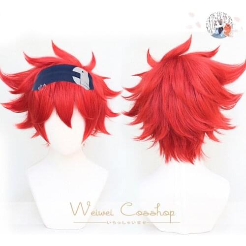 SK8 The Infinity Reki Kyan Cosplay Wig Headband Hairband SK8 Cosplay Red Short Men Wigs with Bangs Heat Resistant Synthetic Wig