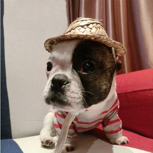 NEW Hand Made Straw Hat for pet dog cat puppy free shipping dog helmet dog supplies product cat product