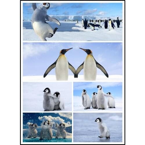 LIPHISFUN Needlework Diamond Painting 5D Embroidery Full Drill Home Decoration Square/round Animal Penguin