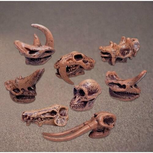 Mini Prehistoric Mammal Skull Model Science Toys Action Figures For Boys
